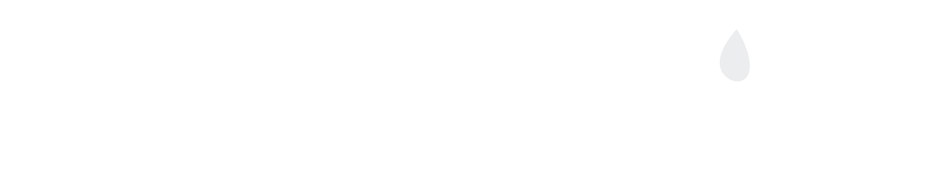 logo light